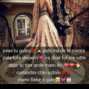 Meet your Posher, Halianma