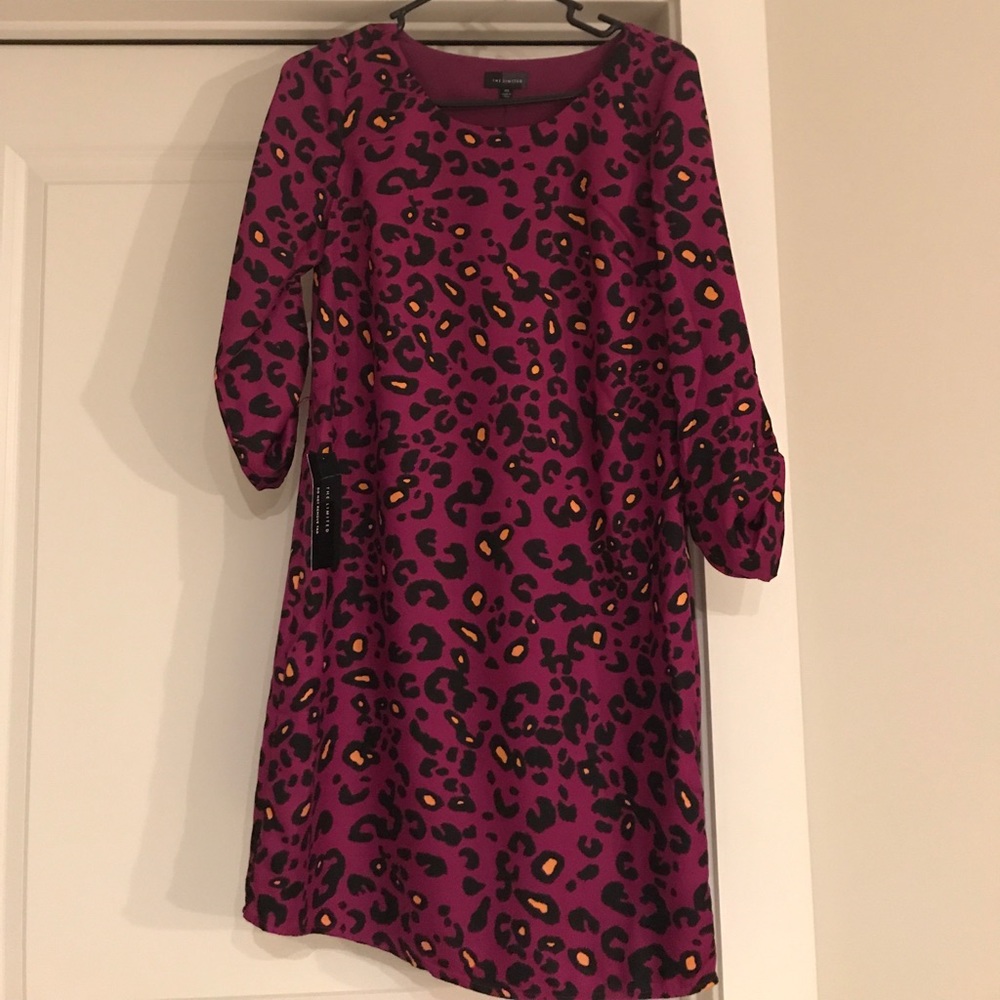 Animal print dress from The Limited