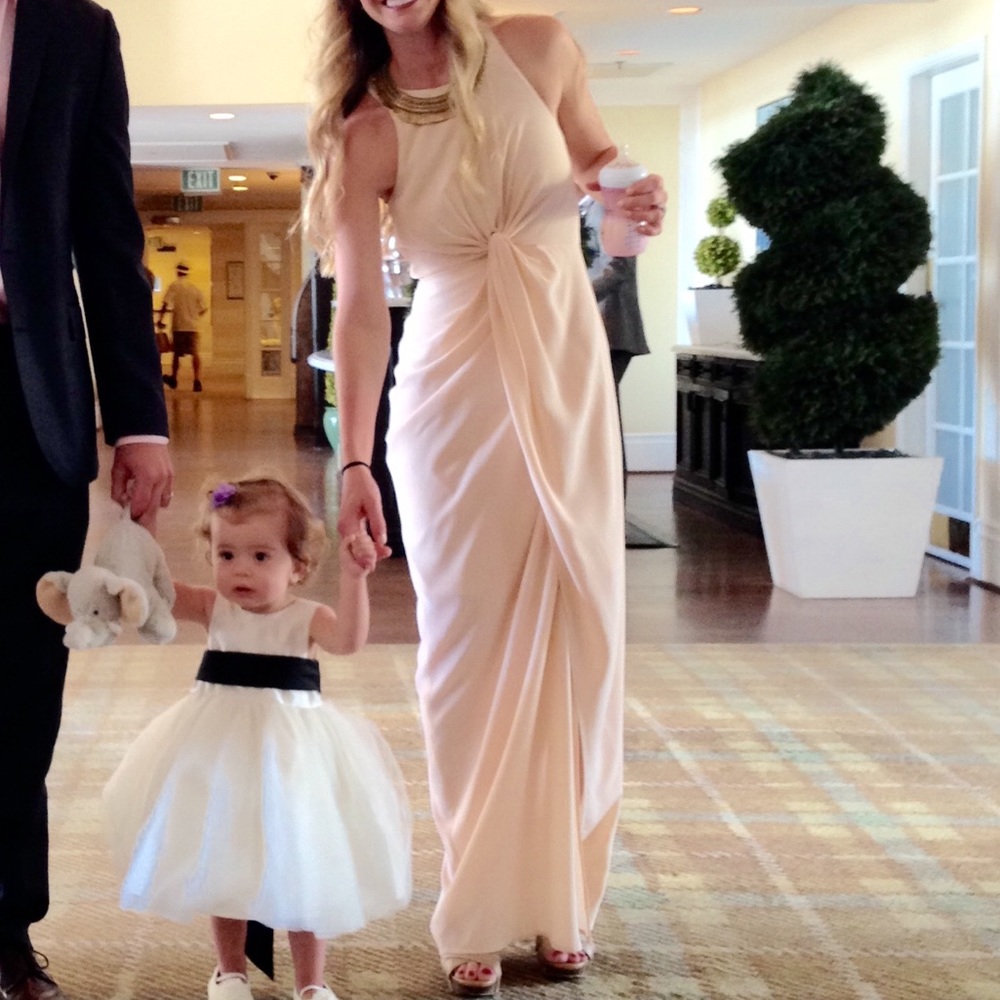 Zimmermann blush silky gown