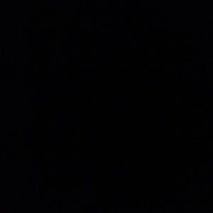 Meet your Posher, Troy