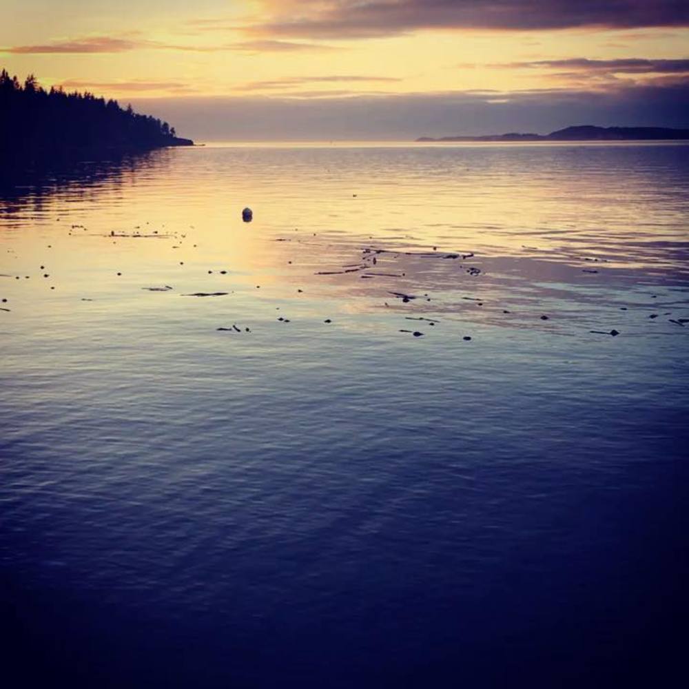 Meet your Posher, Jami