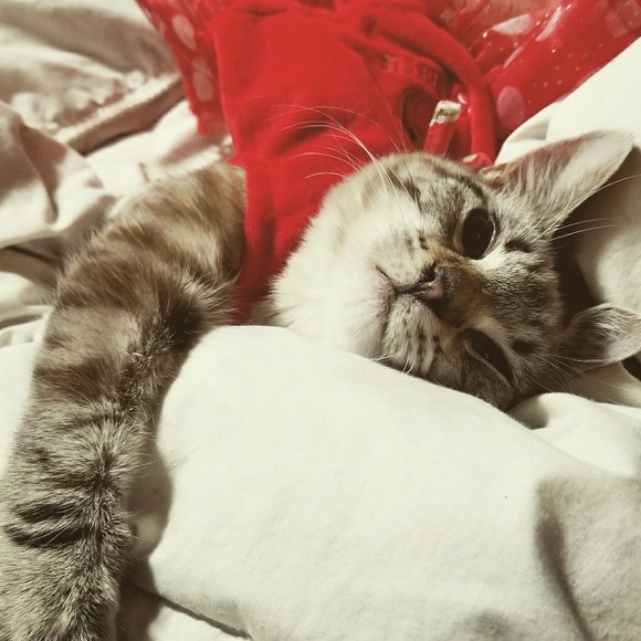 Meet your Posher, Harold & Harriet! - Picture 2 of 3