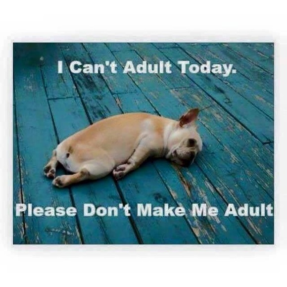 Meet your Posher, Wendy - Picture 7 of 7