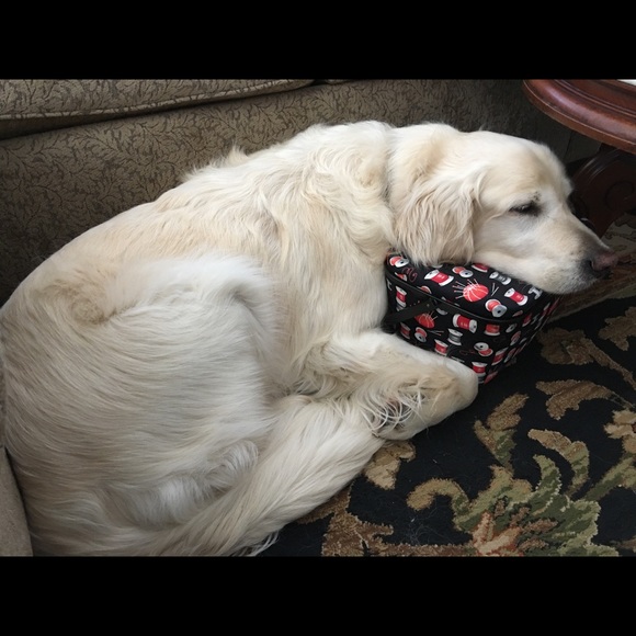 Meet your Posher, Wendy - Picture 4 of 7