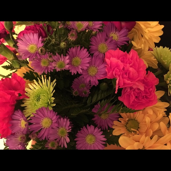 Meet your Posher, Wendy - Picture 5 of 7