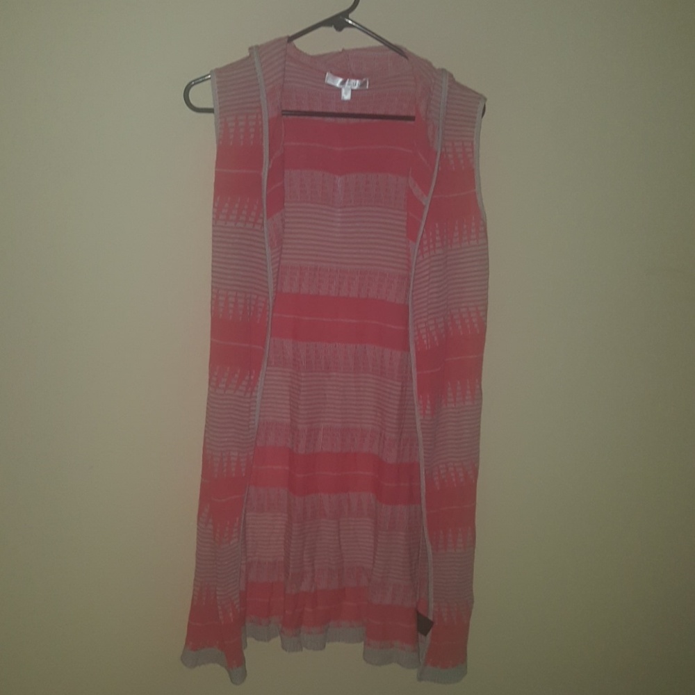 Lightweight hooded vest