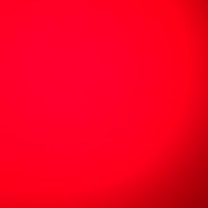 Meet your Posher, Paulie