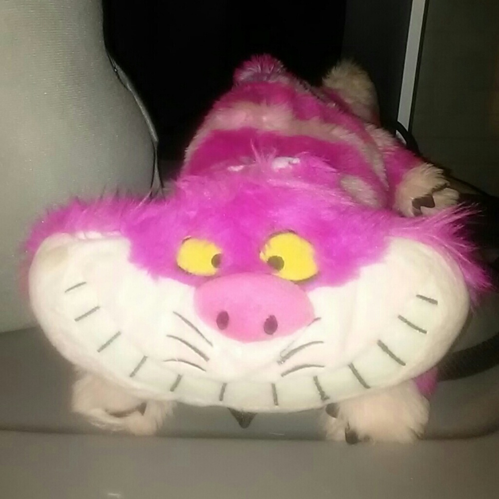 Price drop Cheshire cat backpack