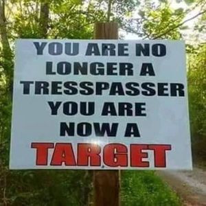 Meet your Posher, Bruce