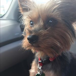 Meet your Posher, Victoria