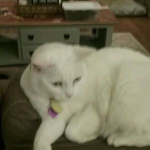 Meet your Posher, Colton