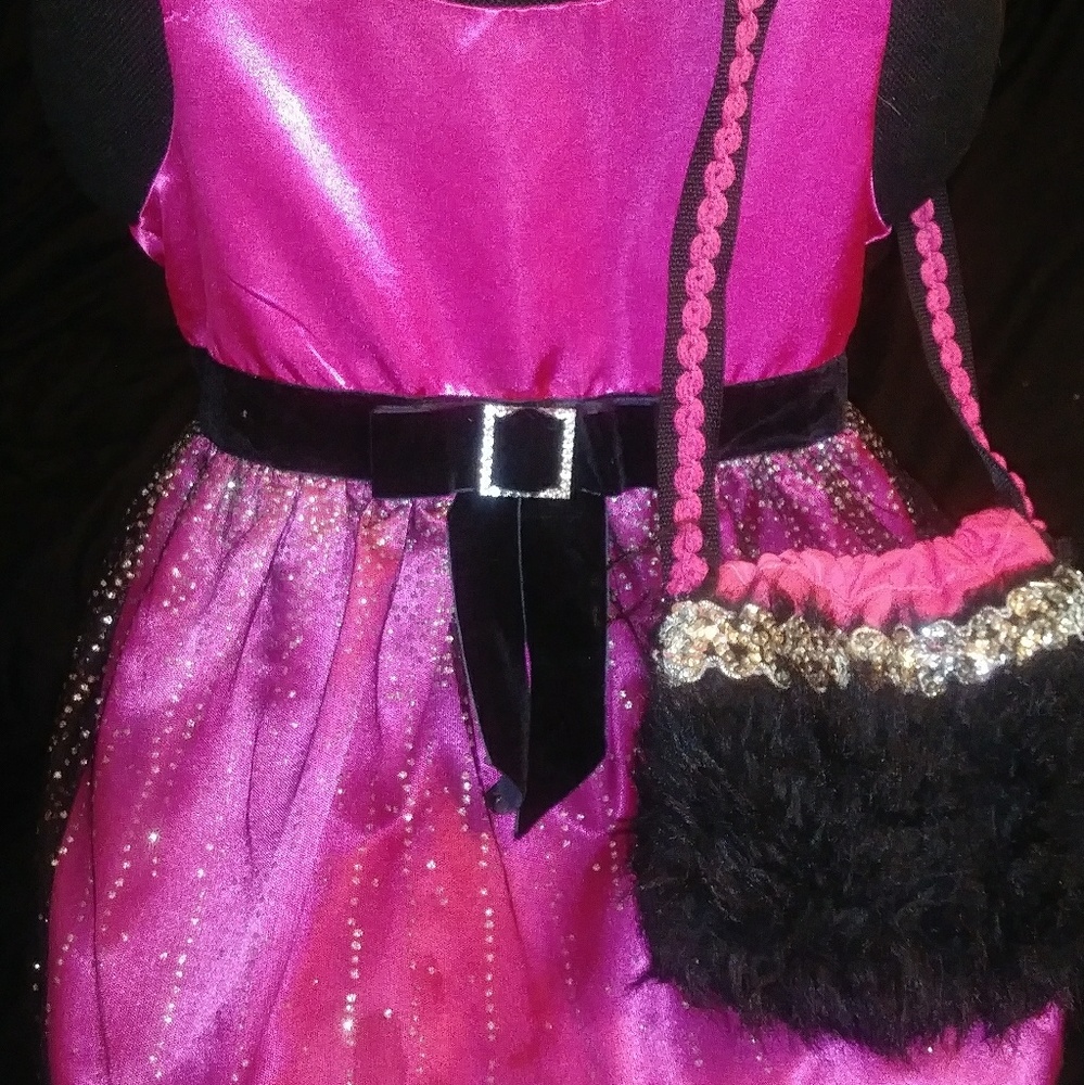 Girls Dress with Purse