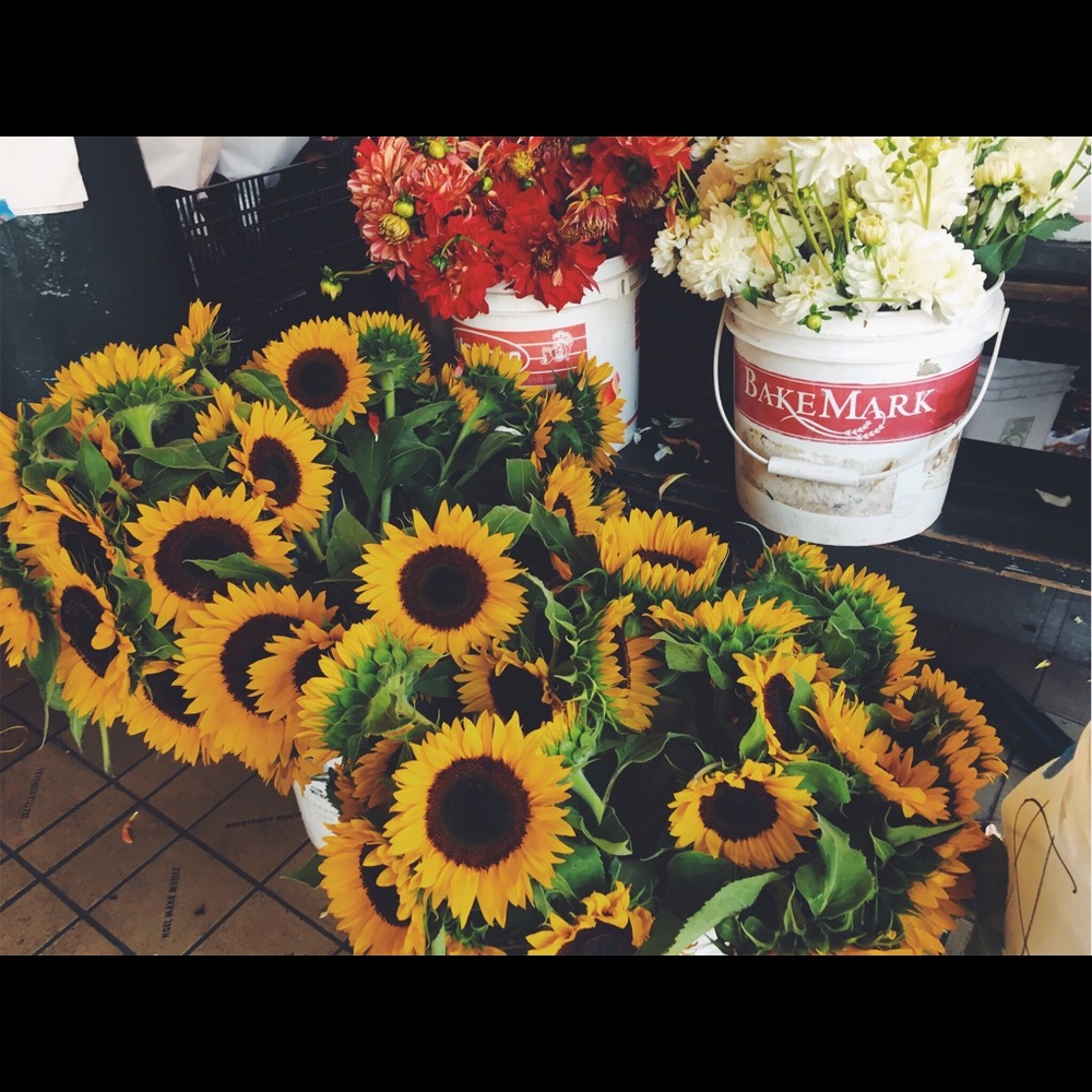 Meet your Posher, Alyssa