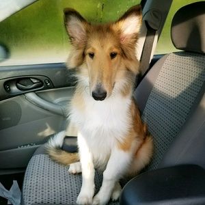 Meet your Posher, Gabby