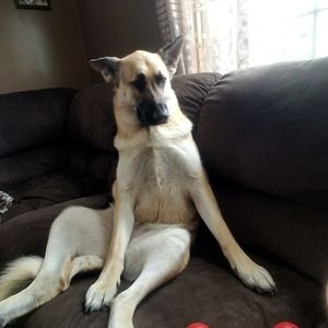 Meet your Posher, Christy