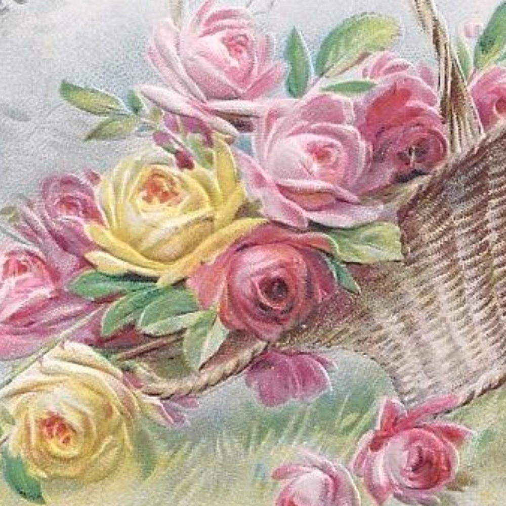 Meet your Posher, LLK