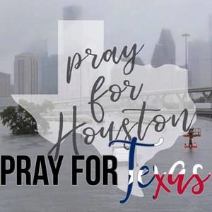 Meet your Posher, Lara