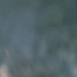 Meet your Posher, Noah