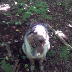 Meet your Posher, Matt