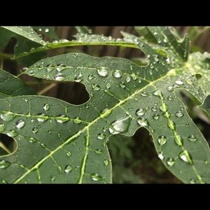 Meet your Posher, Debra