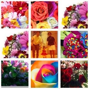 Meet your Posher, Letty