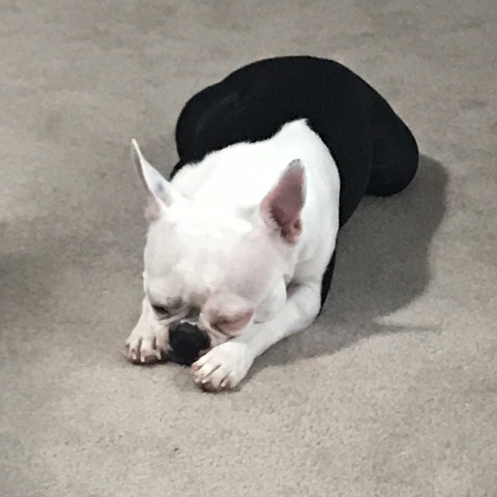 Meet your Posher, Kim