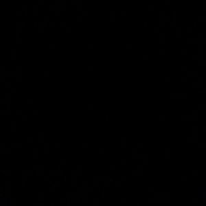 Meet your Posher, Antonio