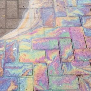 Meet your Posher, Ashleigh