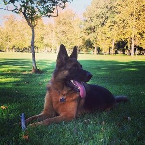 Meet your Posher, Thomas