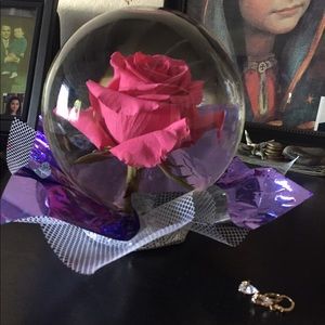 Meet your Posher, Jenny