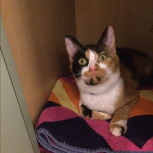 Meet your Posher, Raedonna