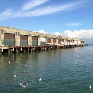 Meet your Posher, Brian