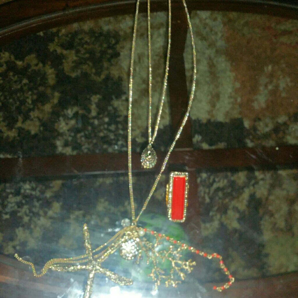 Aldo necklace and matching ring