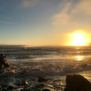 Meet your Posher, Tony