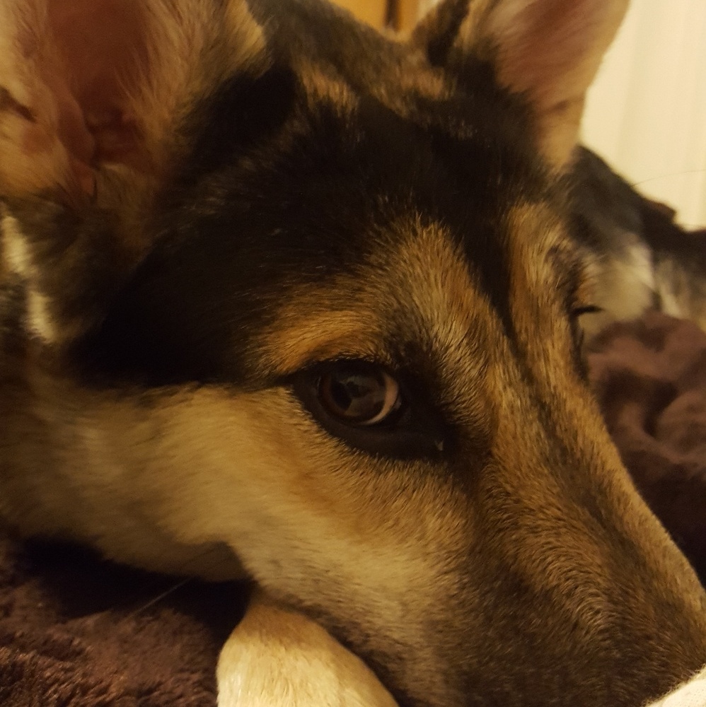 My Closet... my dog giving you shade on lowballs