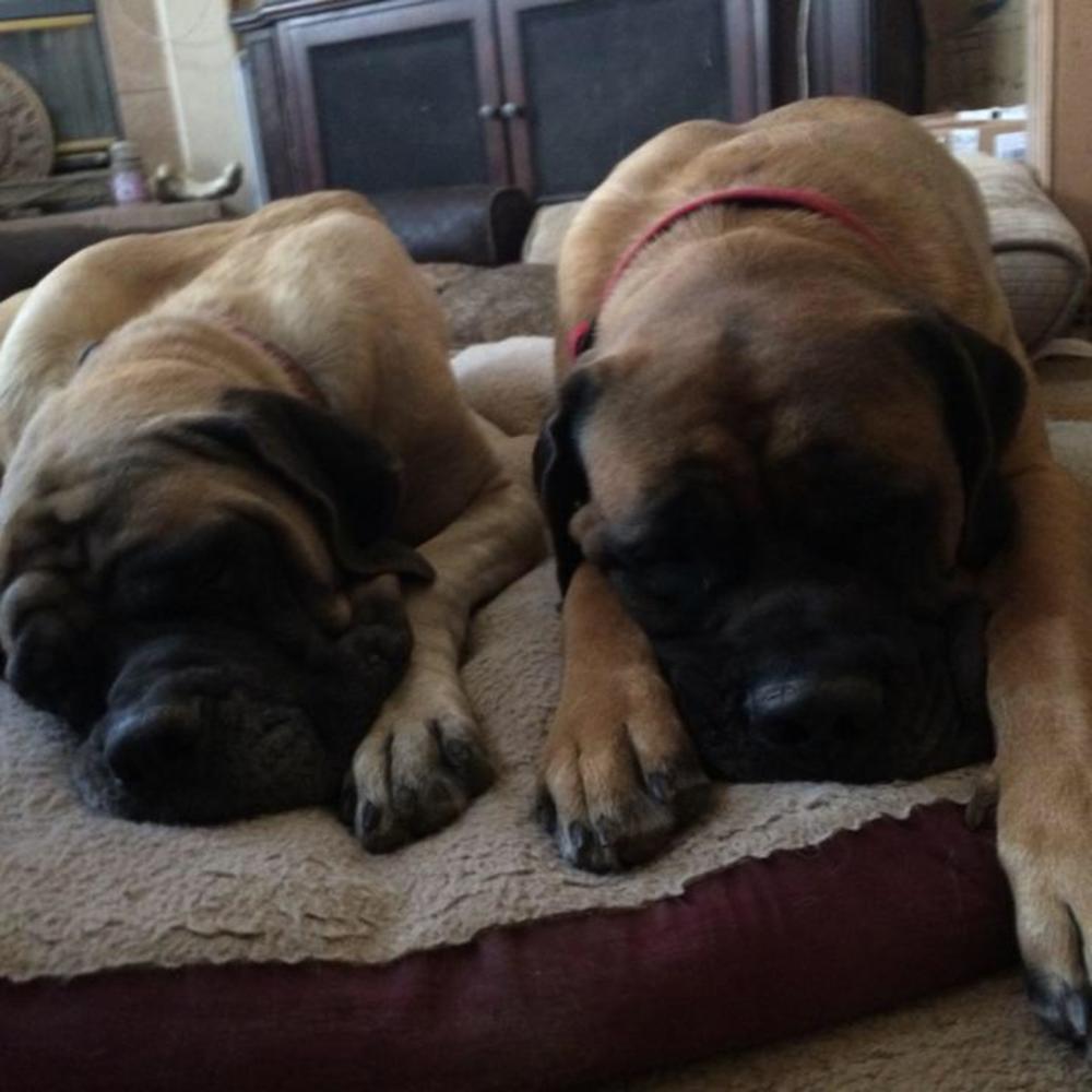 Meet your Posher, Darlene