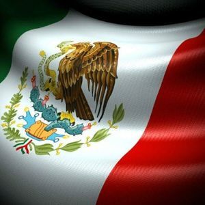 Meet your Posher, Norma