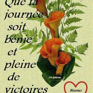 Meet your Posher, Maria