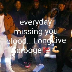 Meet your Posher, Otis