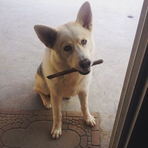 Meet your Posher, Aaron