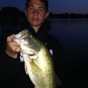 Meet your Posher, Austin