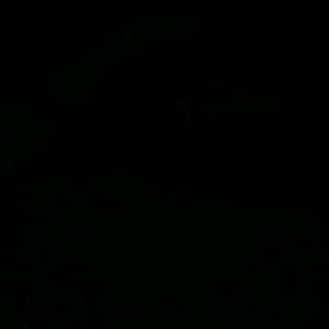 Meet your Posher, Yahirah