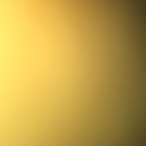 Meet your Posher, Jared