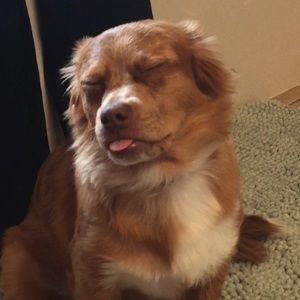 Meet your Posher, Keri