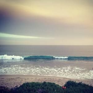 Meet your Posher, Leeno