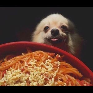 Meet your Posher, Cameron