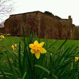 Meet your Posher, Leta