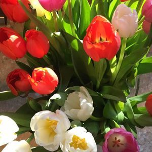 Meet your Posher, Sheila