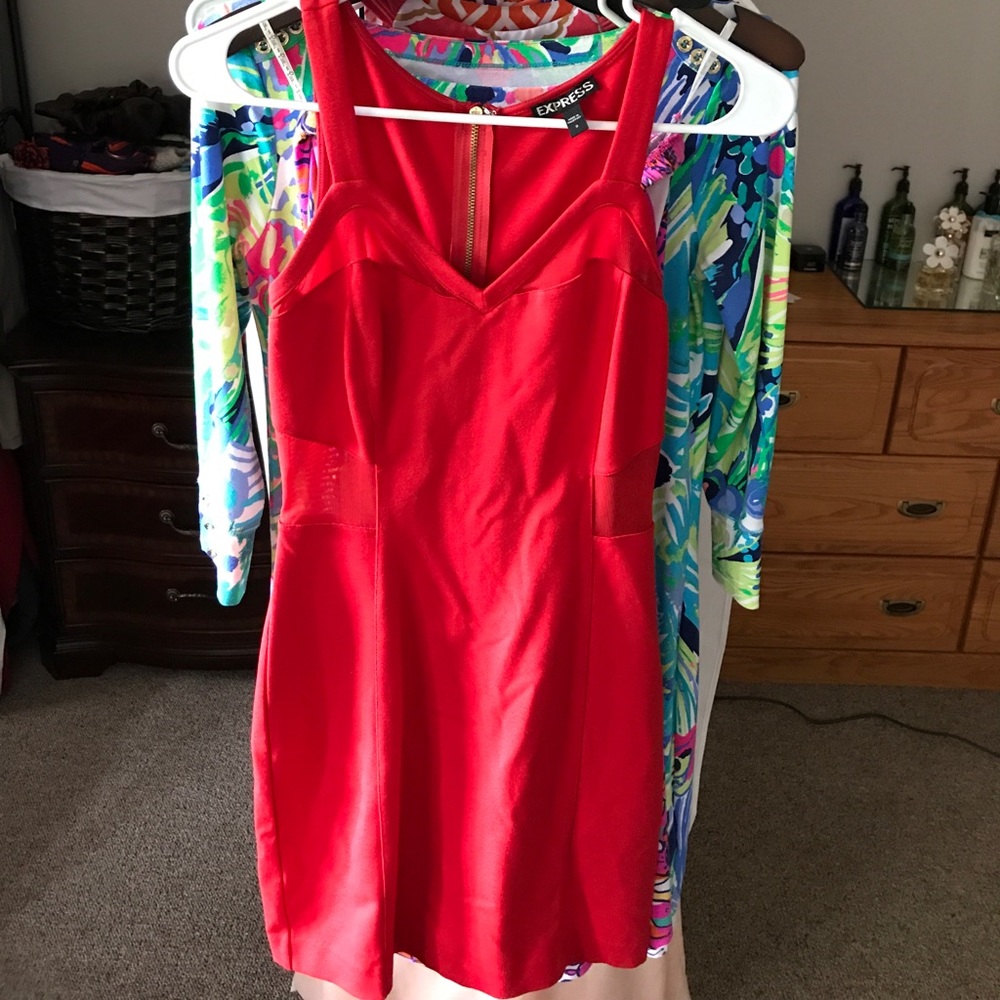 ☃️WINTER SALE☃️ Red Express mesh dress.