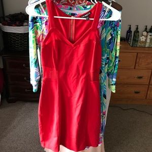 ☃️WINTER SALE☃️ Red Express mesh dress.